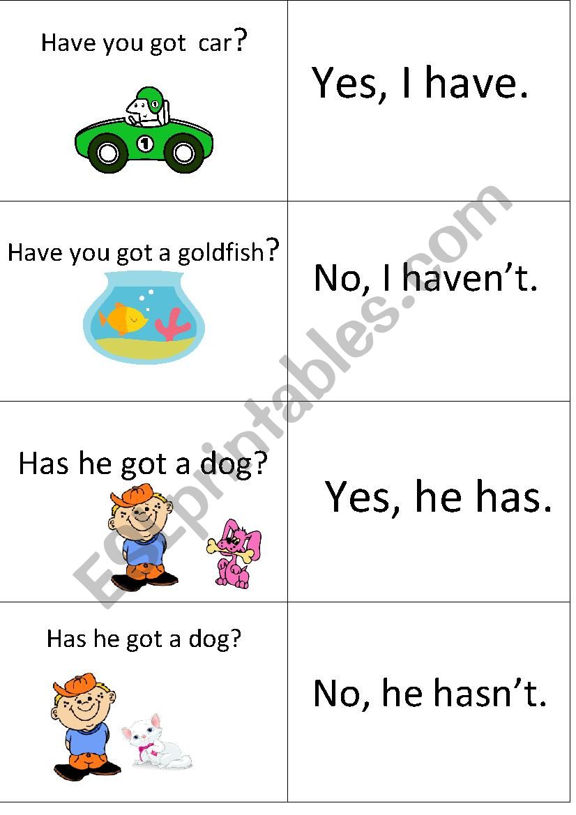 practice short answers of have got