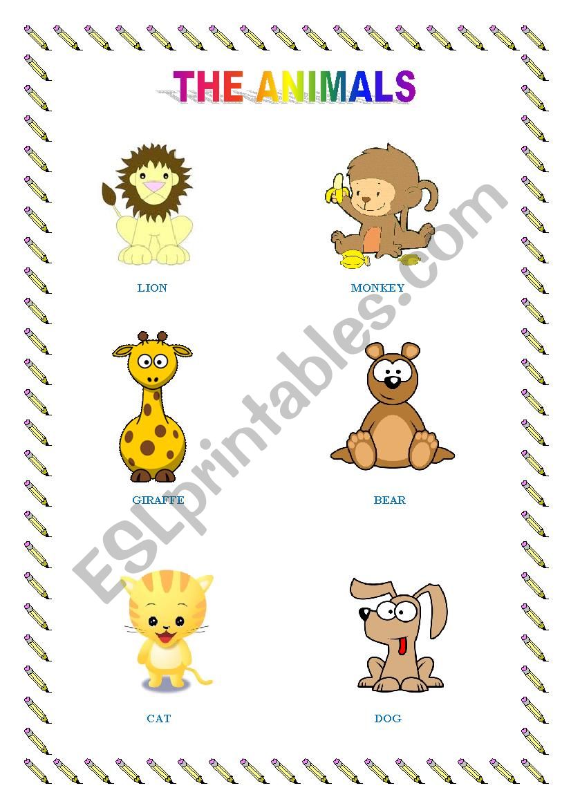 the animals worksheet