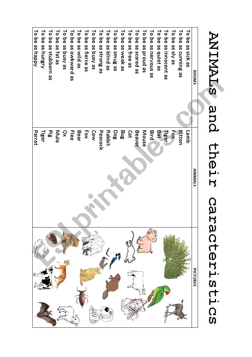 Animal IDIOMS  + KEYS worksheet