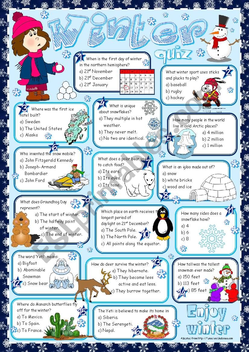 Winter - quiz *KEY included* worksheet