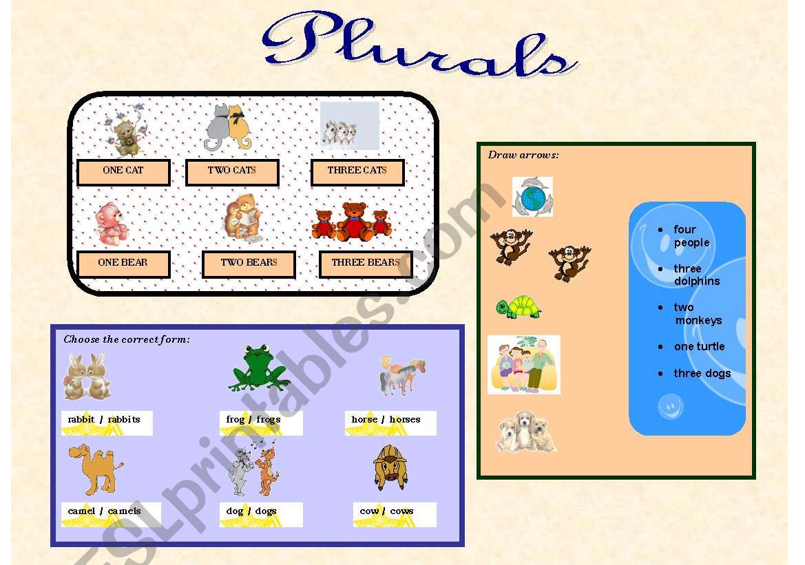 PLURAL worksheet