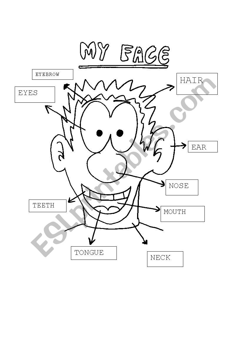 My face worksheet