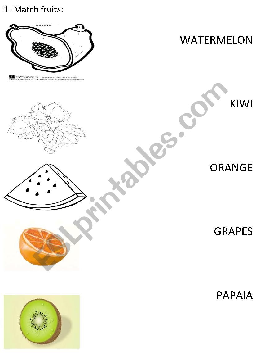 Match fuits worksheet