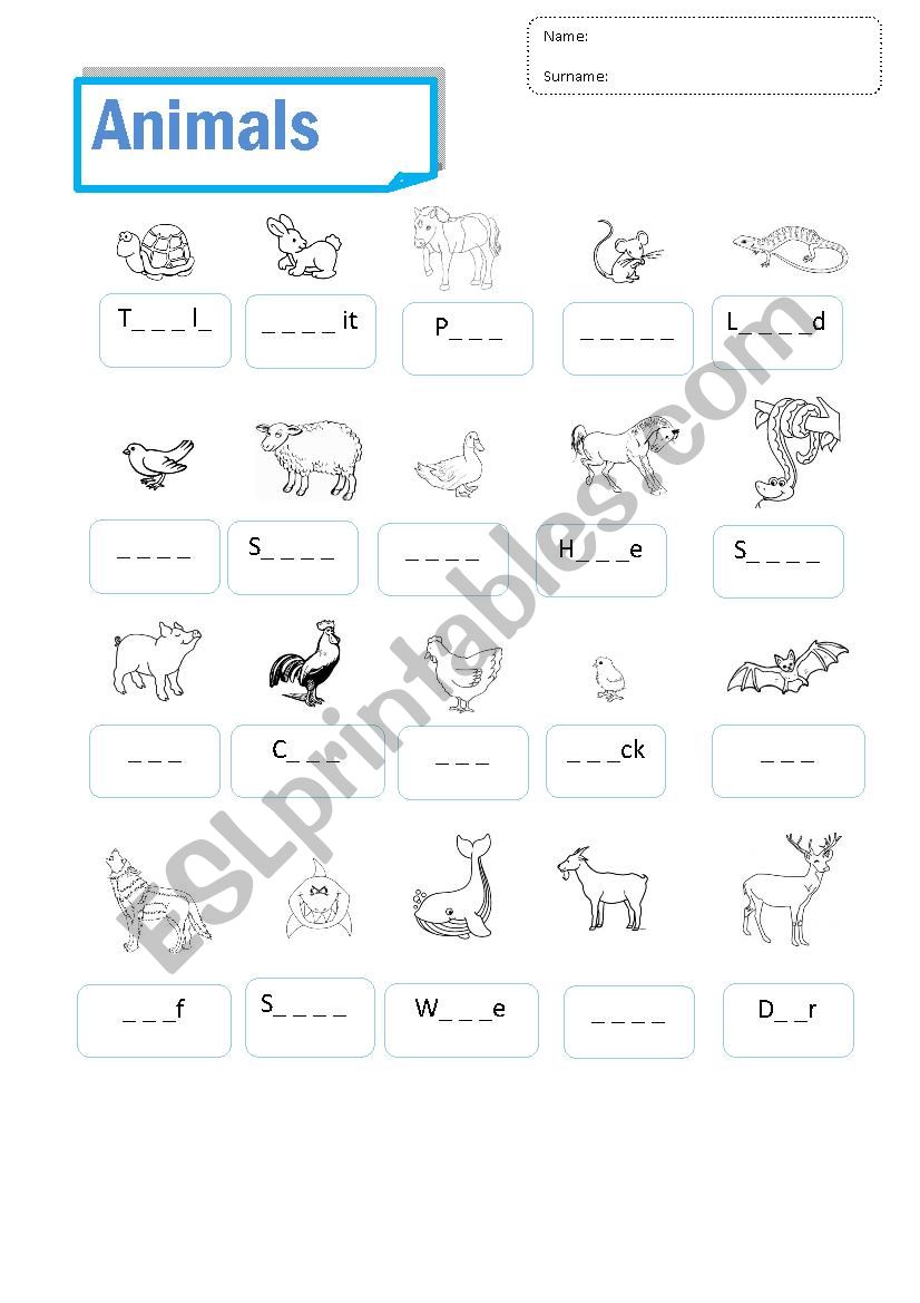 Animals examn worksheet