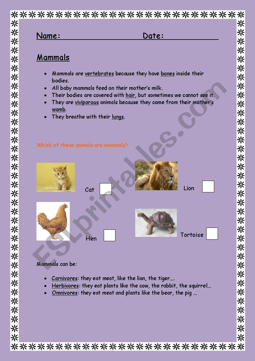 Mammals worksheet