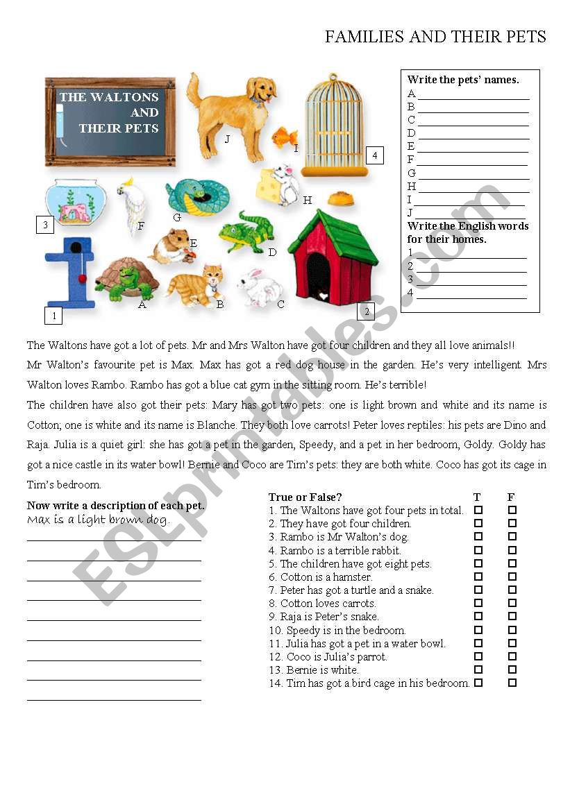 Families and their pets 2 worksheet