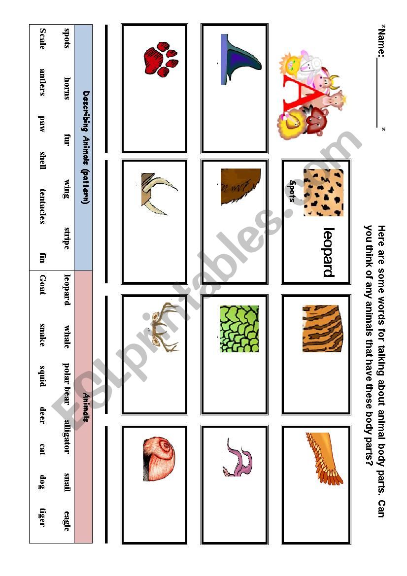 Animals and describe patterns worksheet