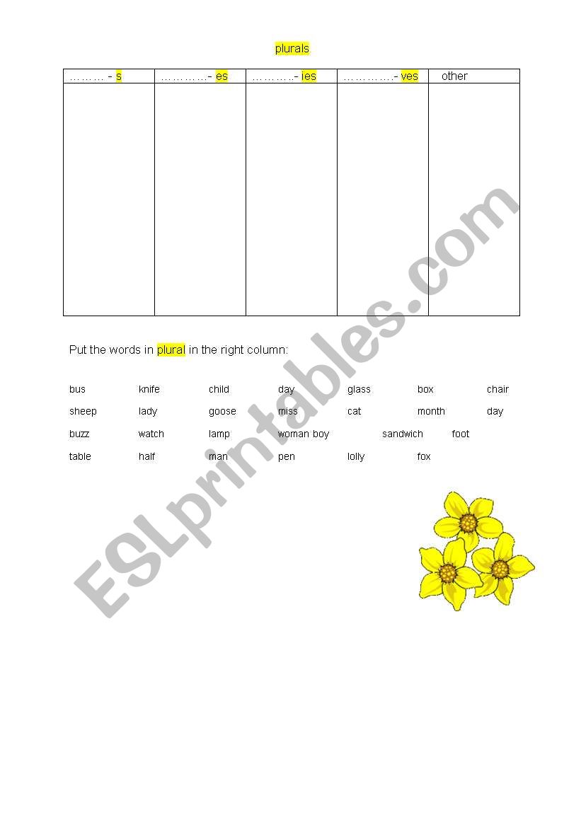 plural worksheet