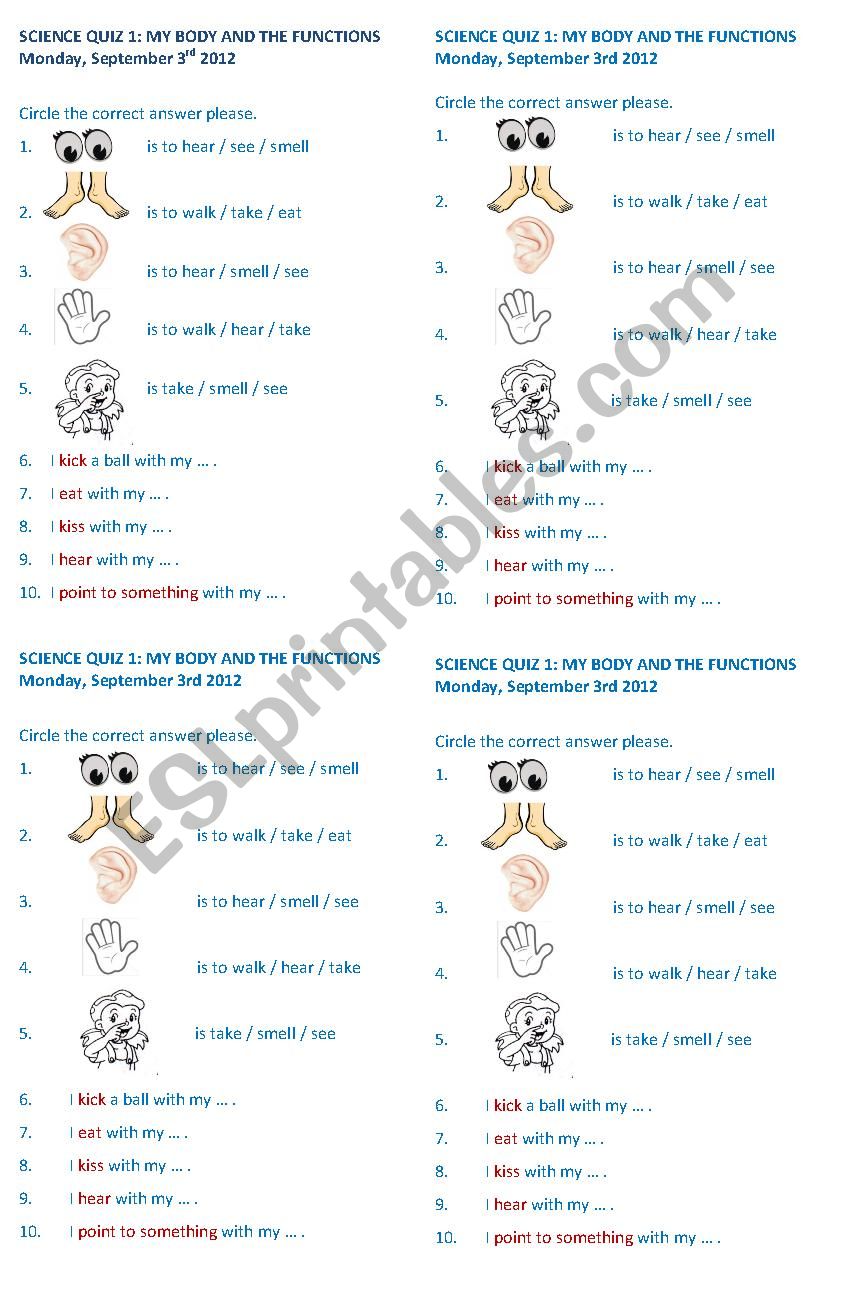 my body and the functions worksheet