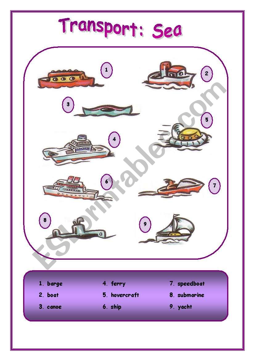 Means of transport: Sea worksheet