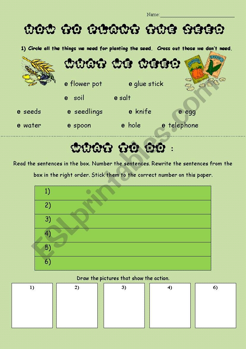 How to plant the seed worksheet