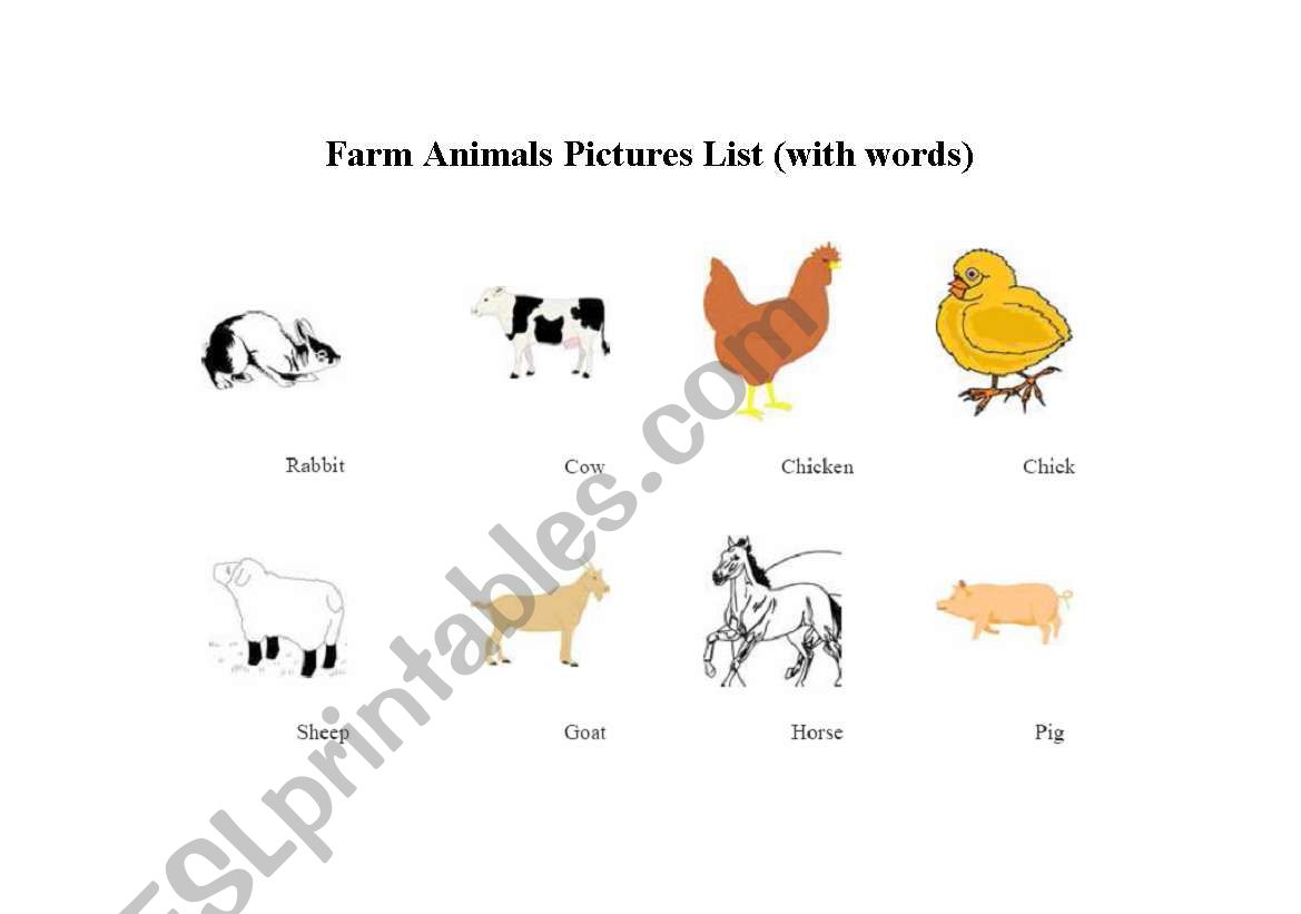 animals vocabulary worksheet