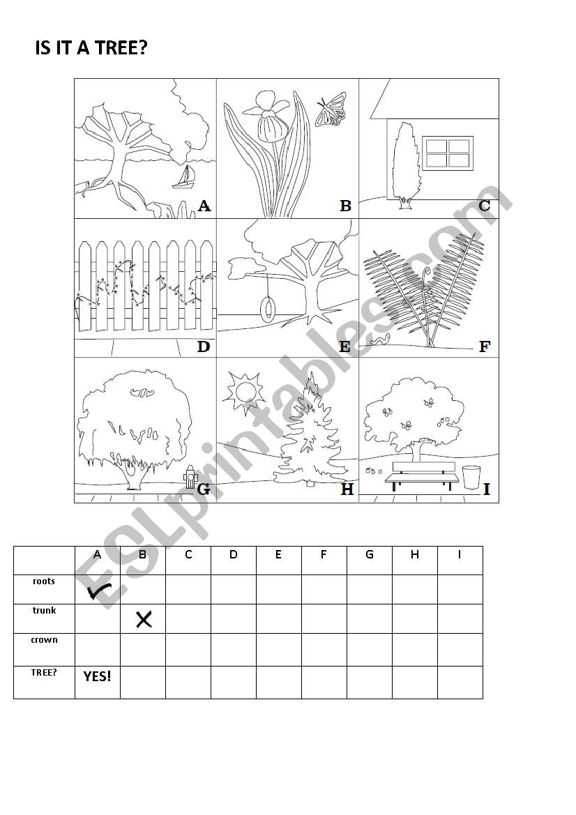 TREES worksheet