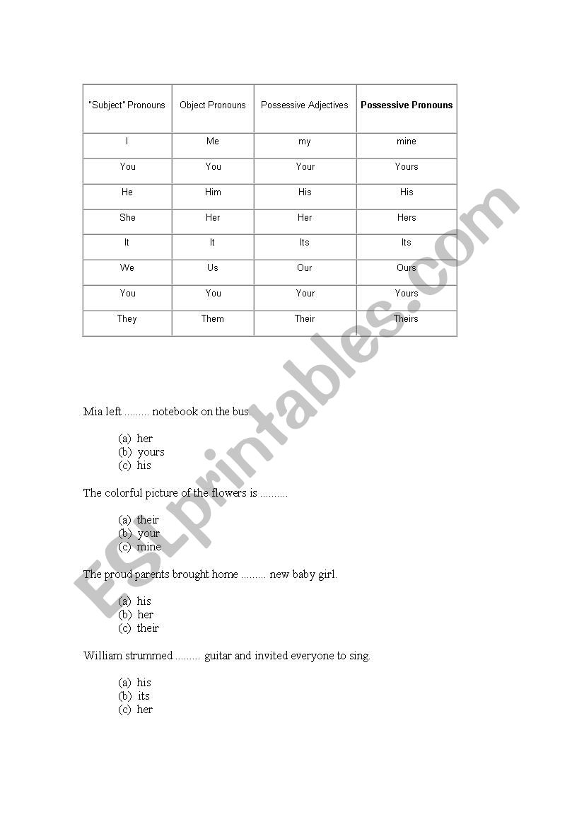 possessive pronouns worksheet