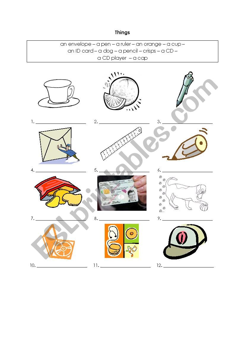 Vocabulary things worksheet