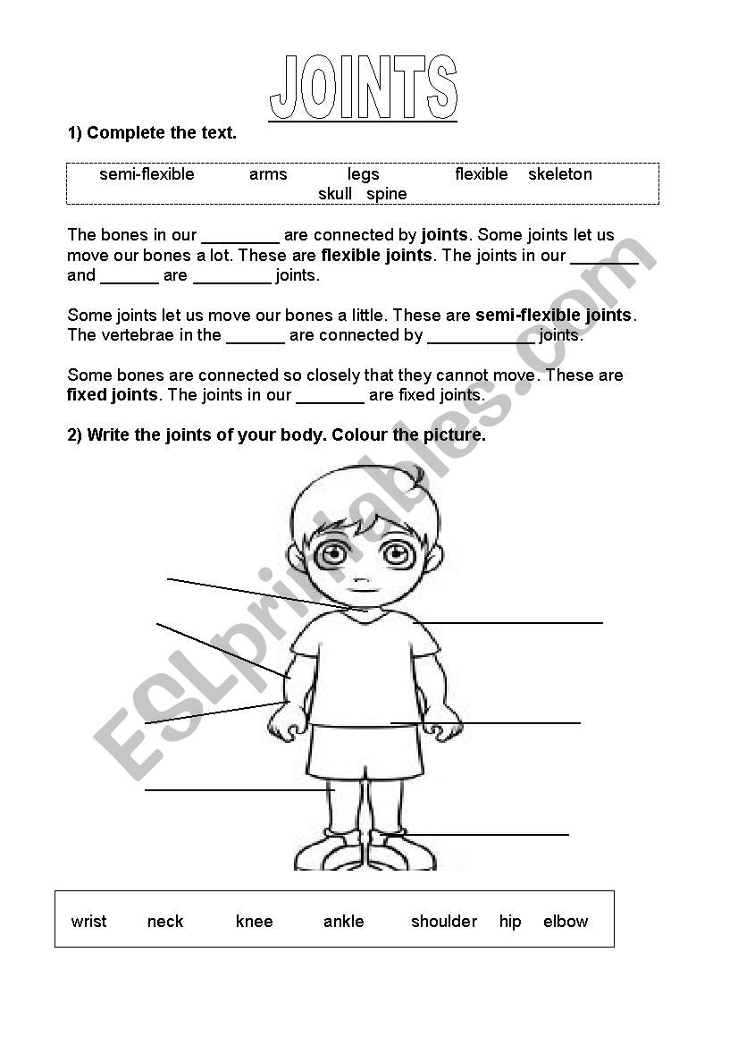 Joints in our body worksheet