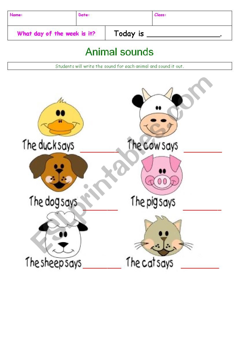 Animal sounds worksheet
