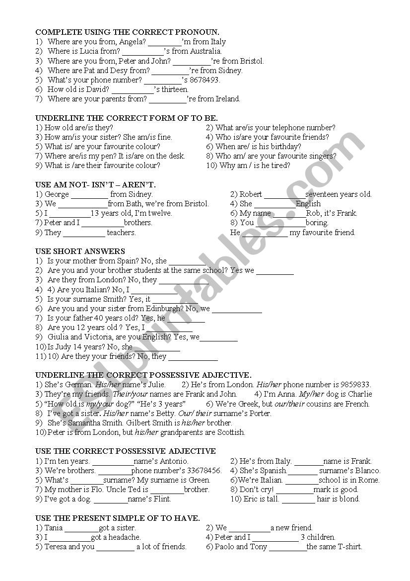 GRAMMAR TEST worksheet