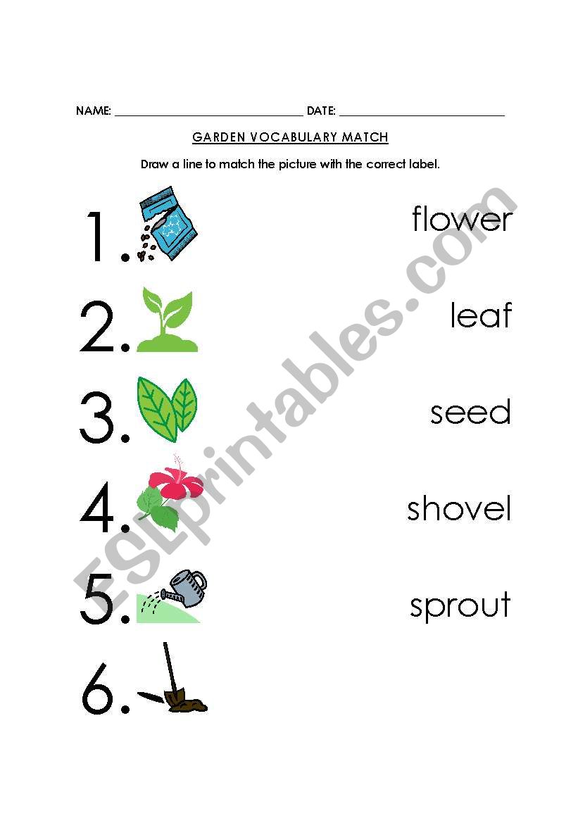 Garden Vocabulary Picture-Word Match