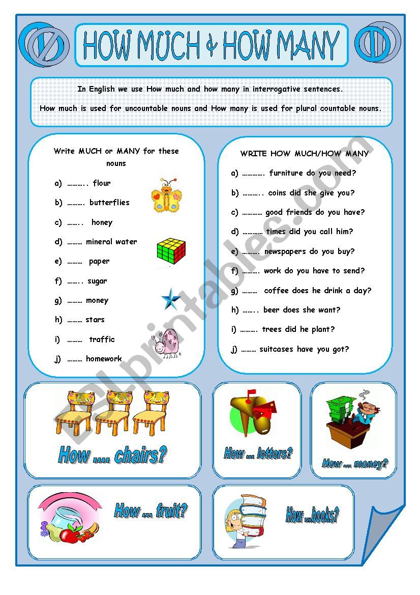 HOW MUCH & HOW MANY worksheet