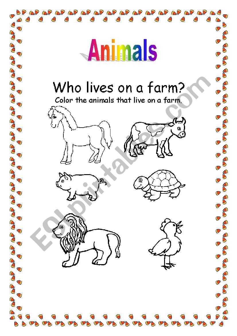 Animals worksheet