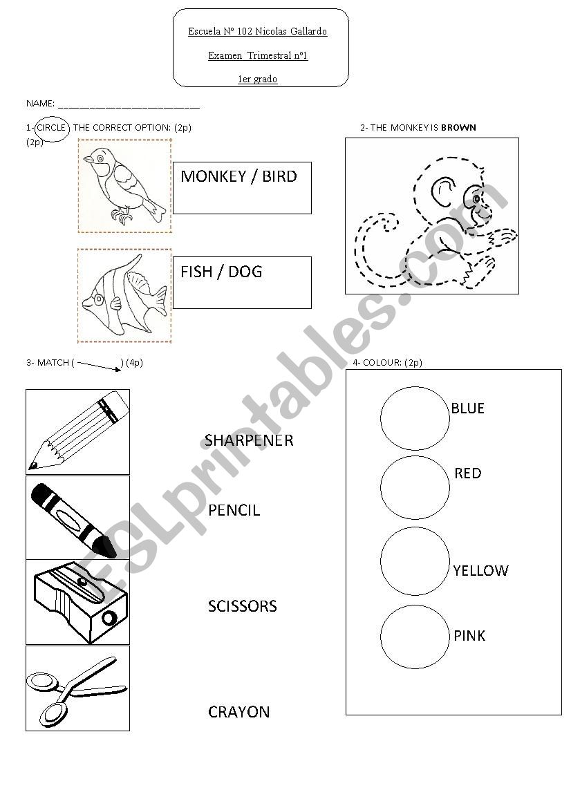 1sty grade exam worksheet