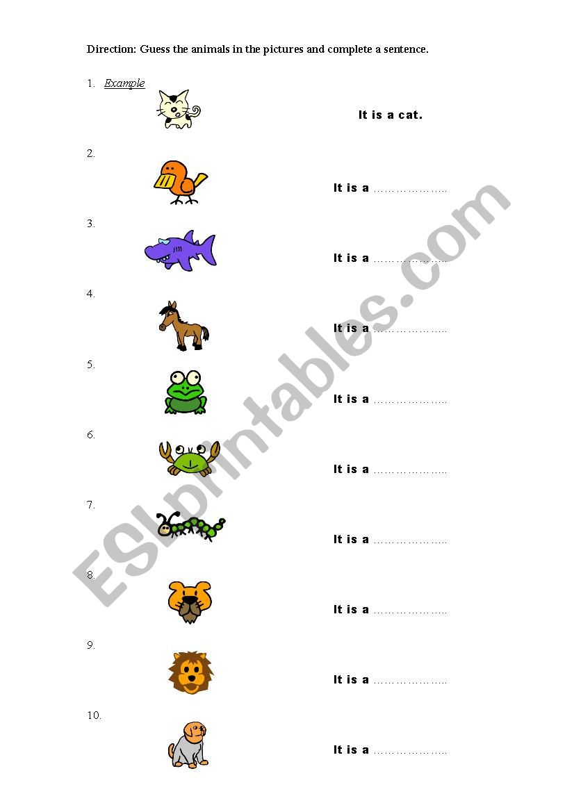 The animal  worksheet