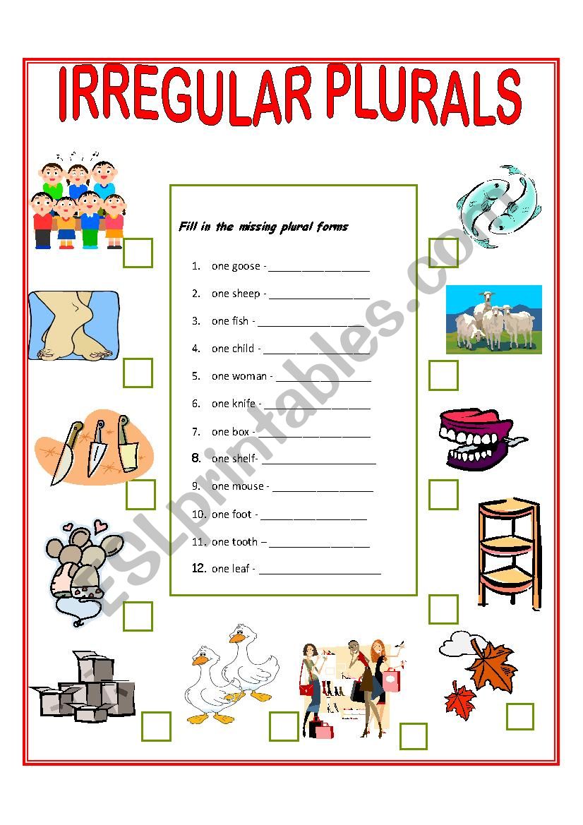 Plurals worksheet