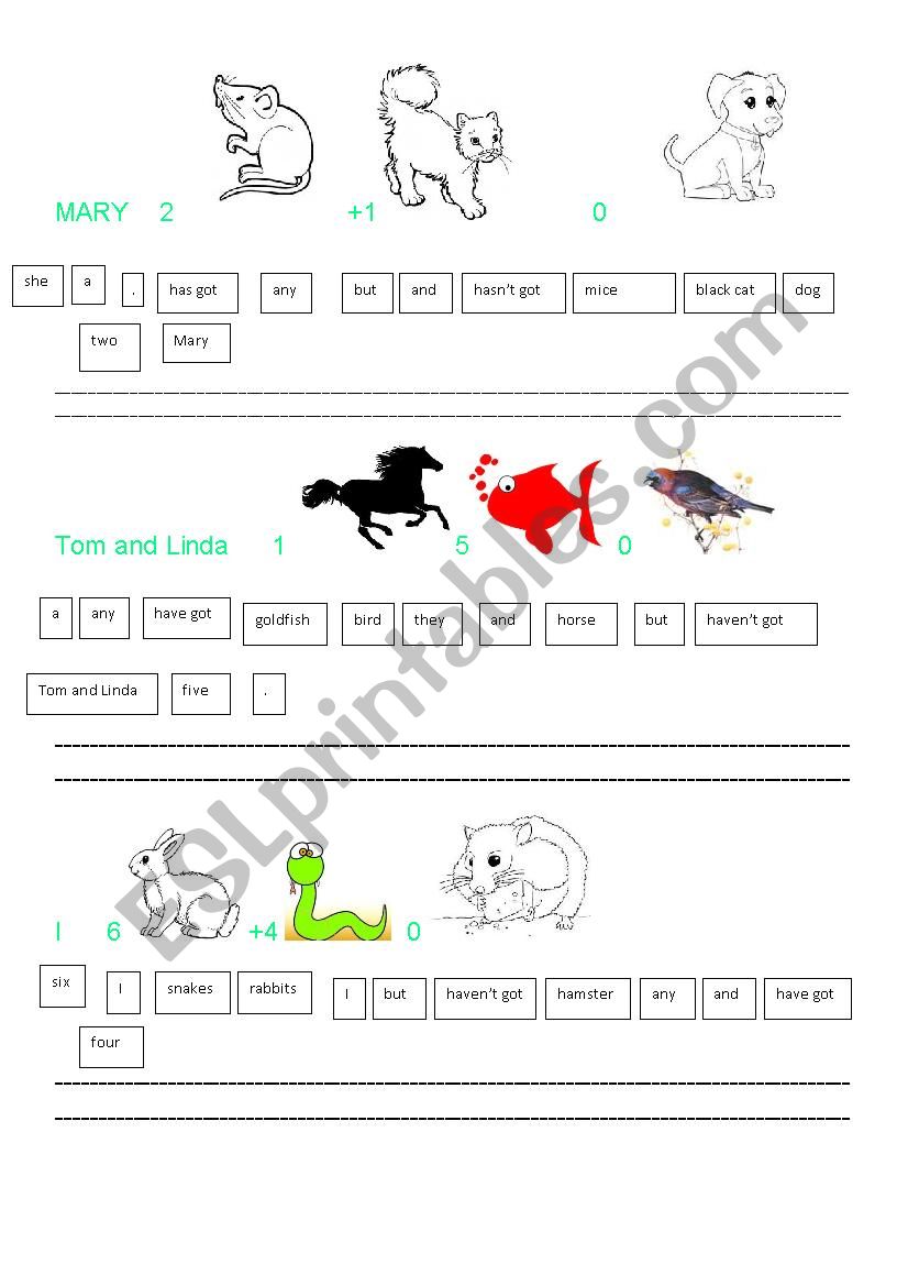 Pets worksheet