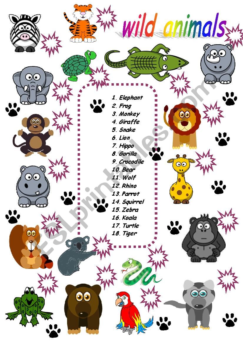 wild animals matching worksheet