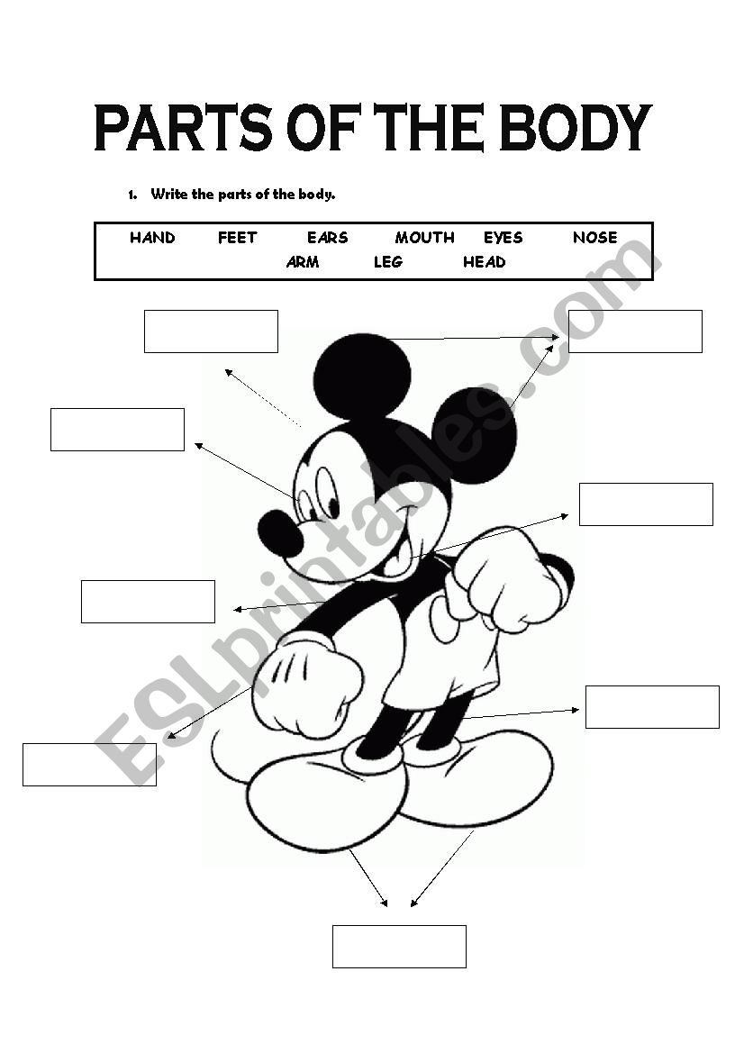 Parts of the body worksheet