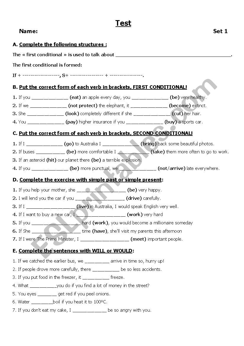 TEST CONDITIONAL 1 AND 2 worksheet