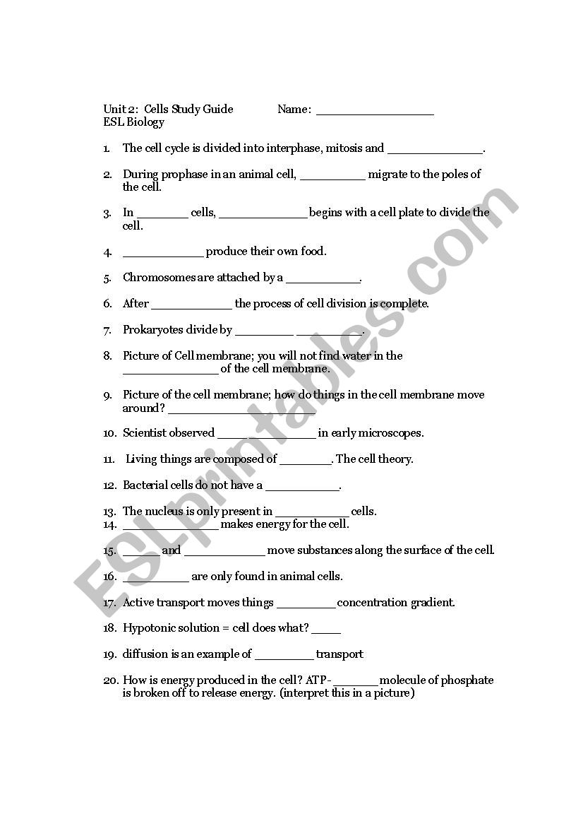Cell Unit Study Guide worksheet