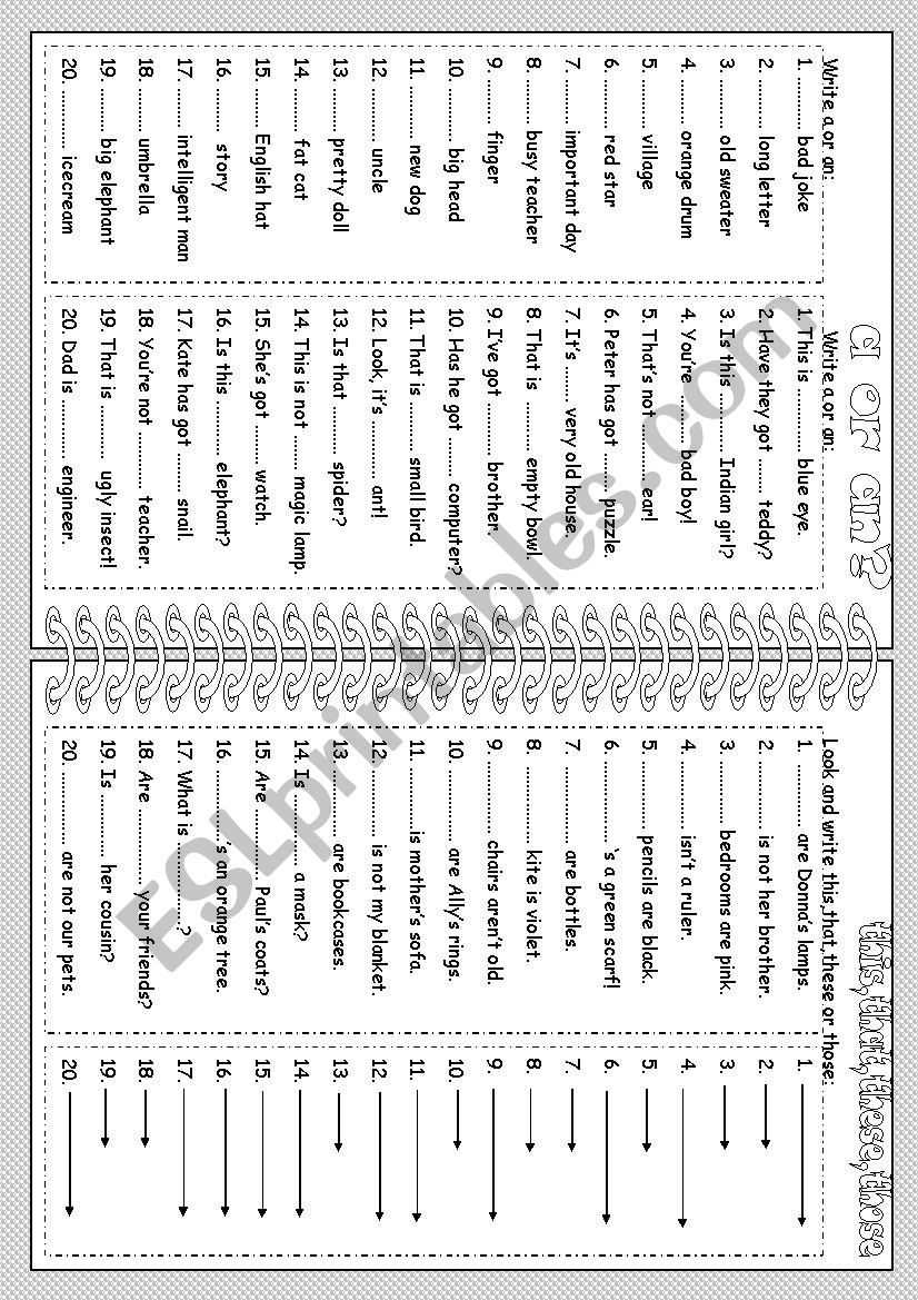 a,an and demonstratives worksheet