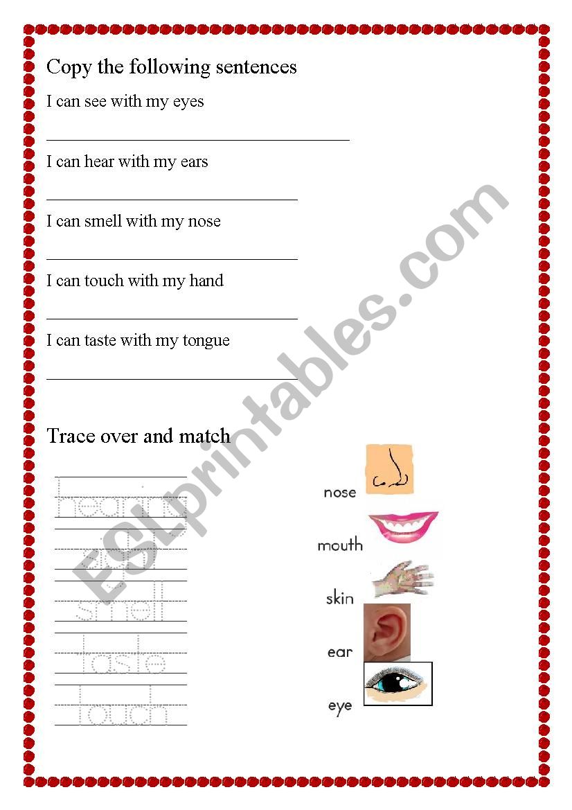 The five senses worksheet