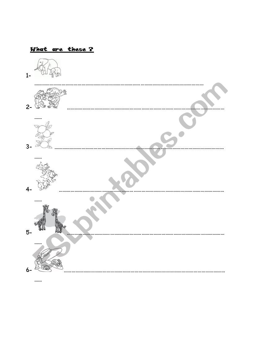 what are these? worksheet