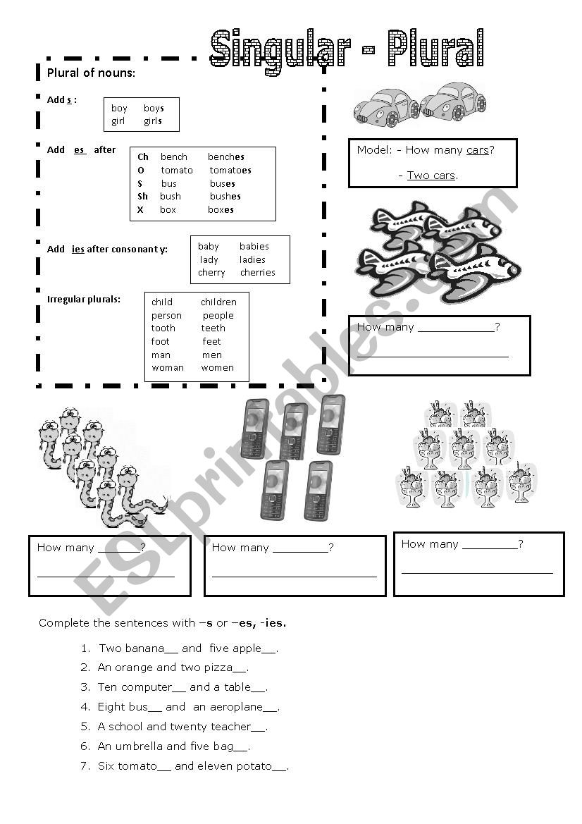 Singular-plural worksheet worksheet