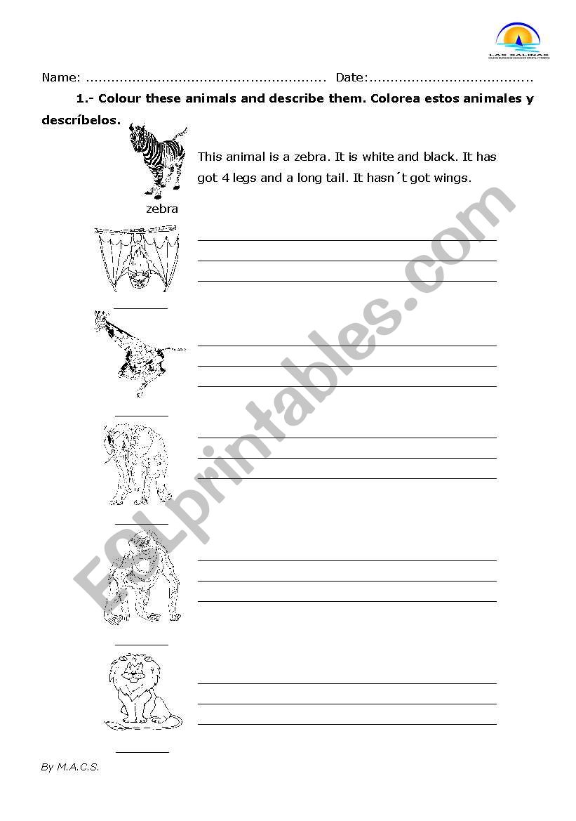 describing animals worksheet