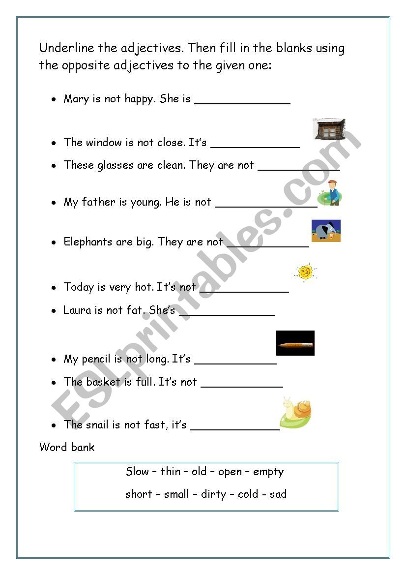 Opposites worksheet