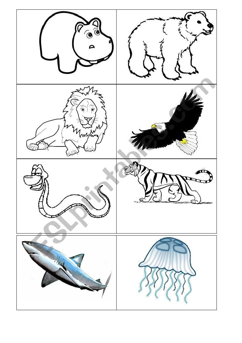 Animals worksheet