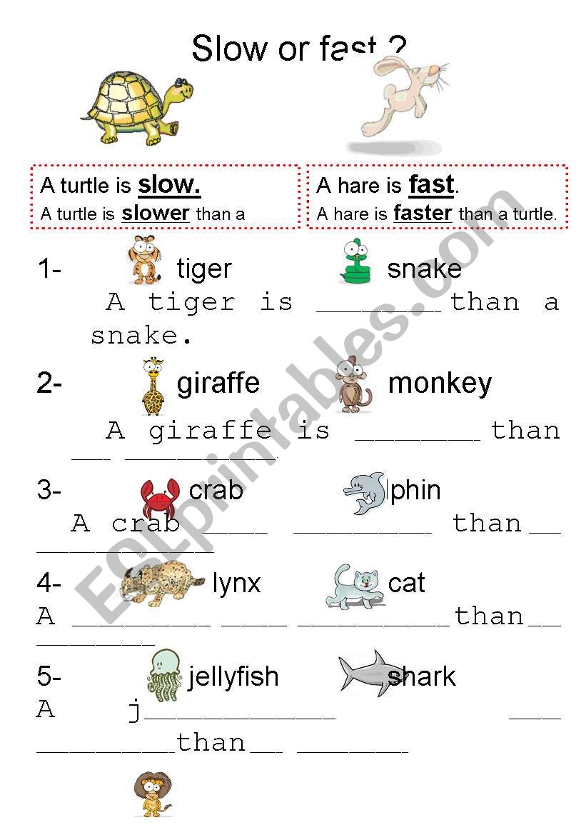 Slow or fast / Part 1 / The tortoise and the hare