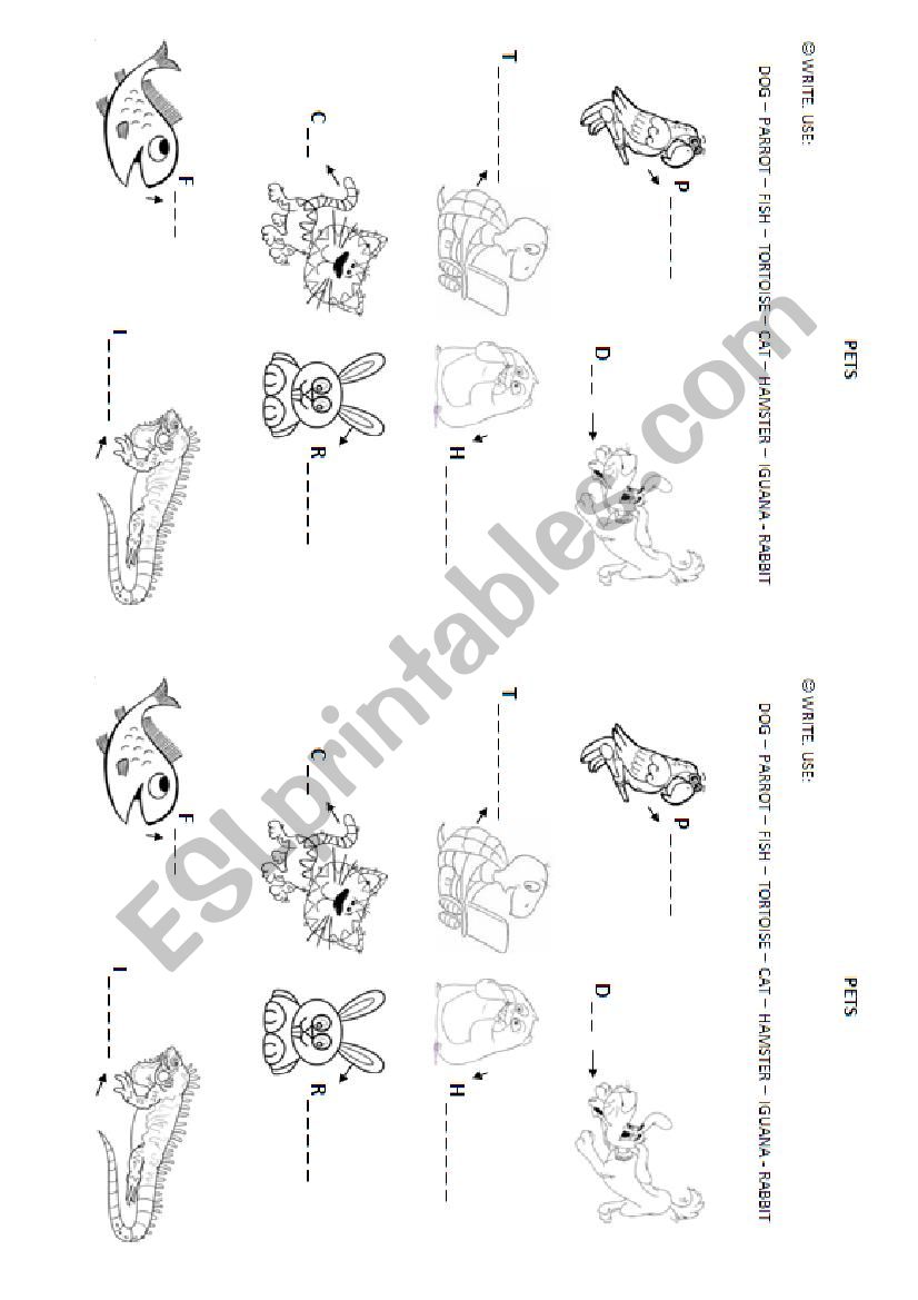 Pets worksheet