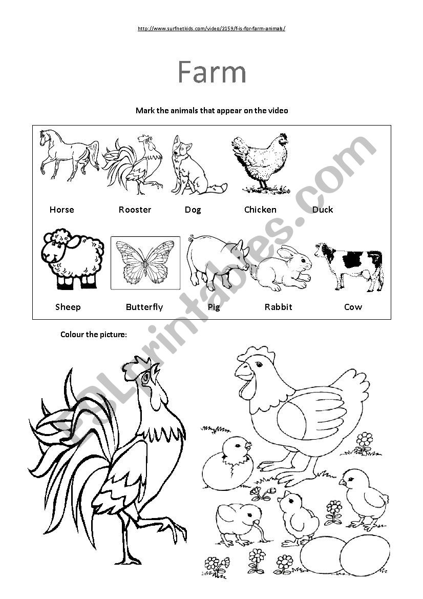 farm video activity worksheet