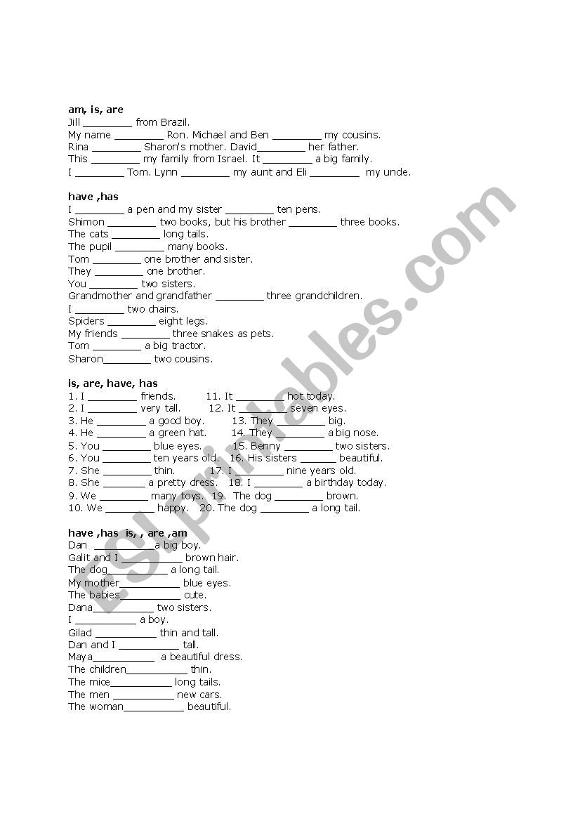 To be, to have exercises worksheet