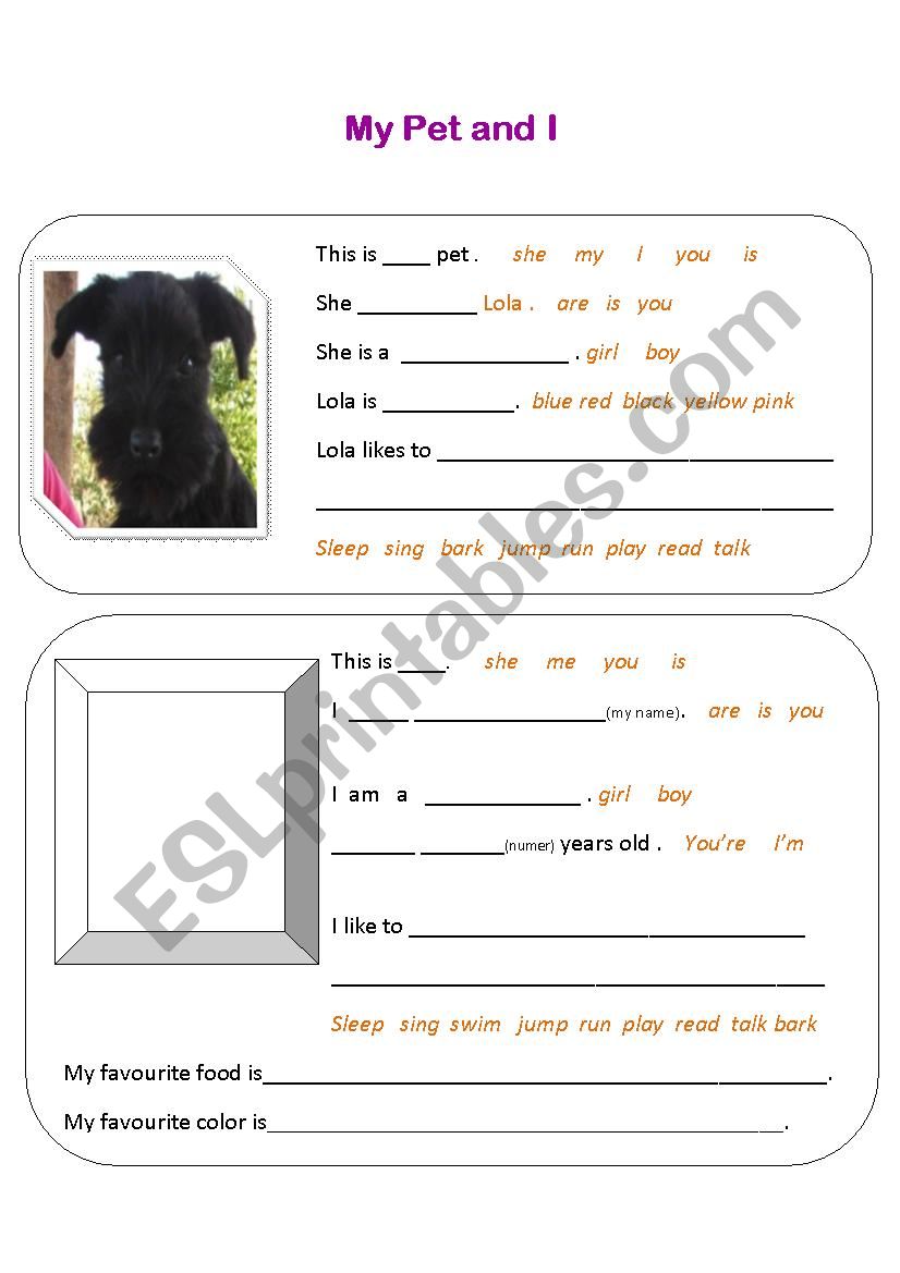 My pet and I worksheet