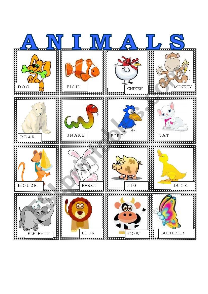 animals small flashcards worksheet