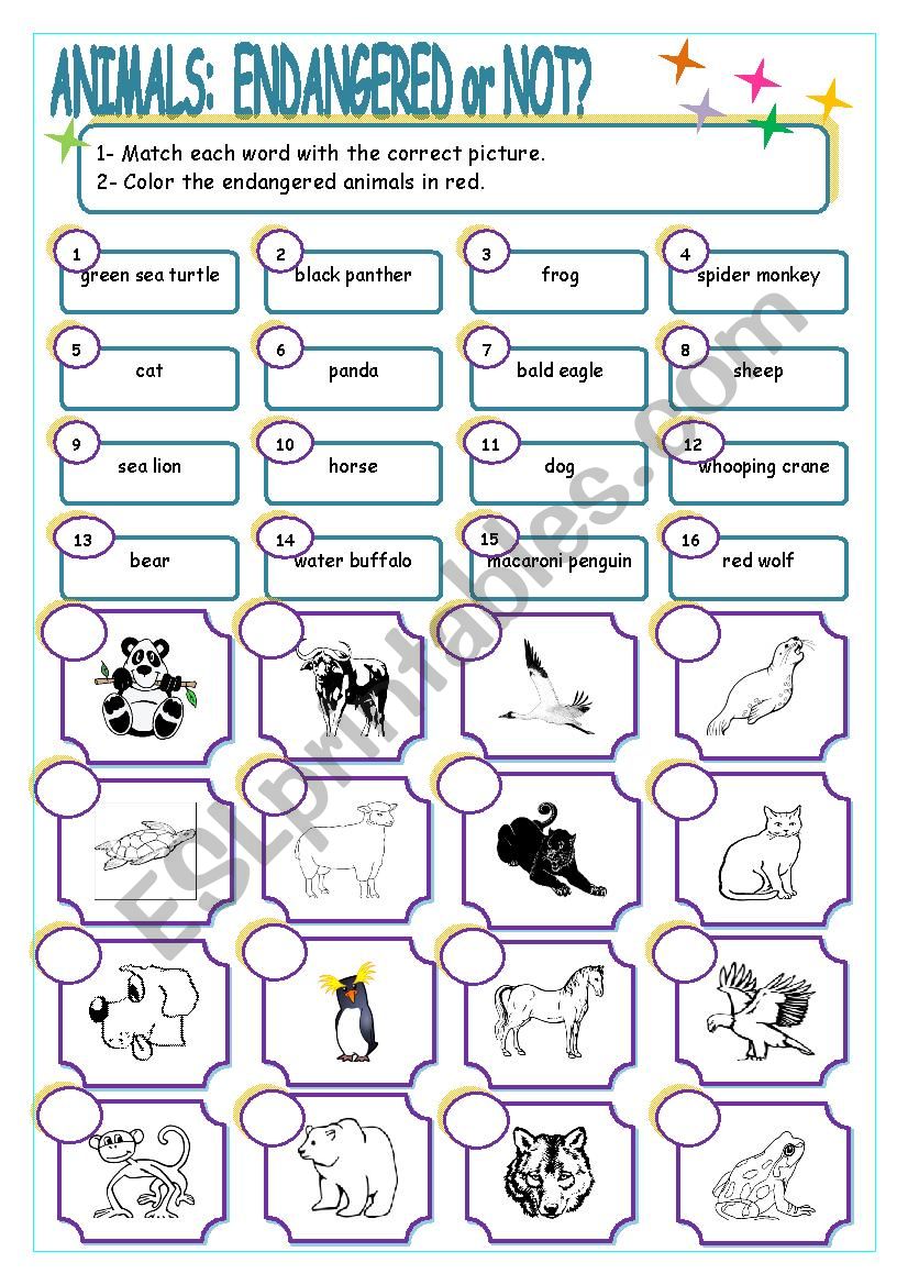 Worksheet To Use With The Book Panda Bear What Do You See From Eric Carle Esl Worksheet By Karobbyte
