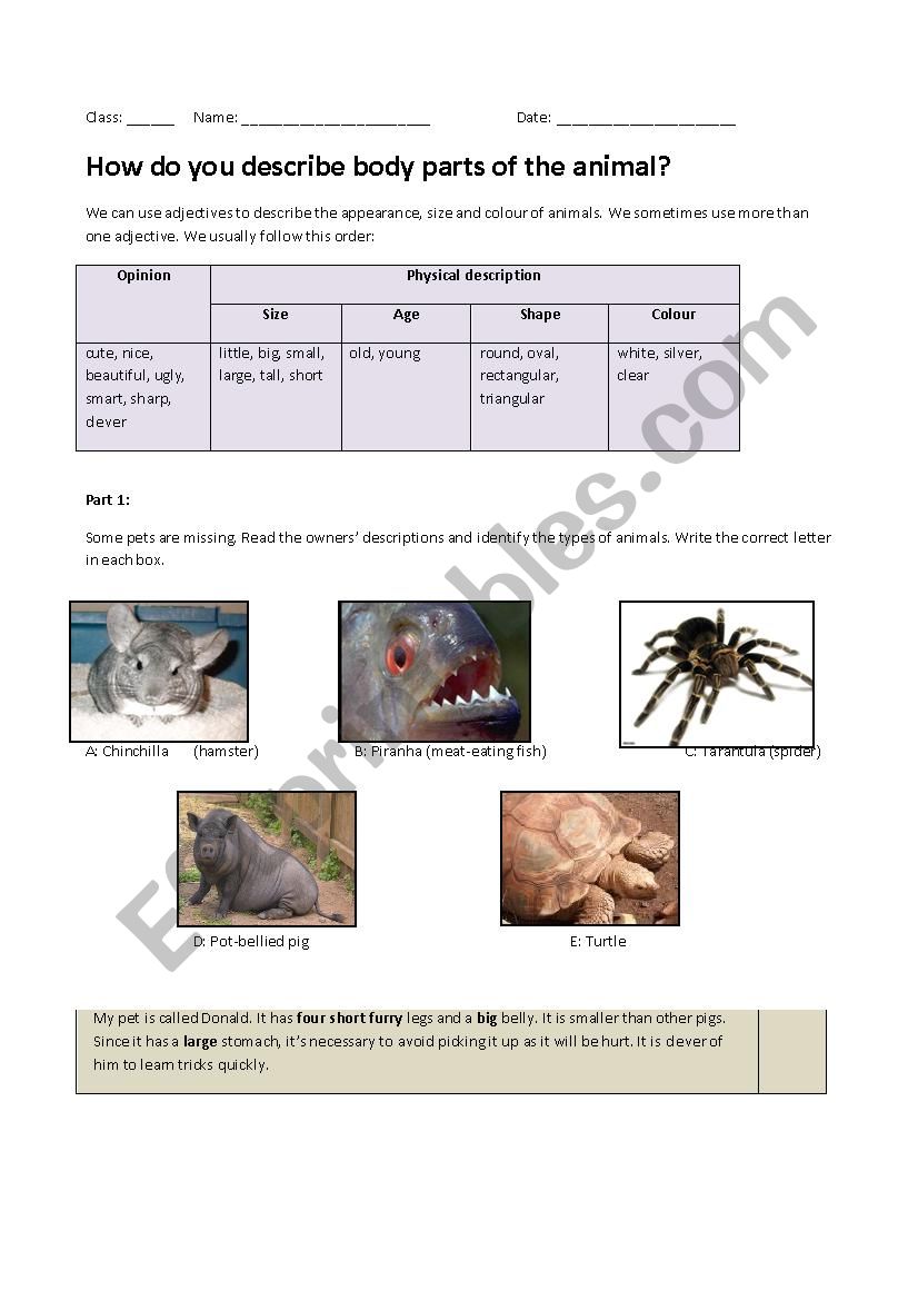 Body parts of animals worksheet