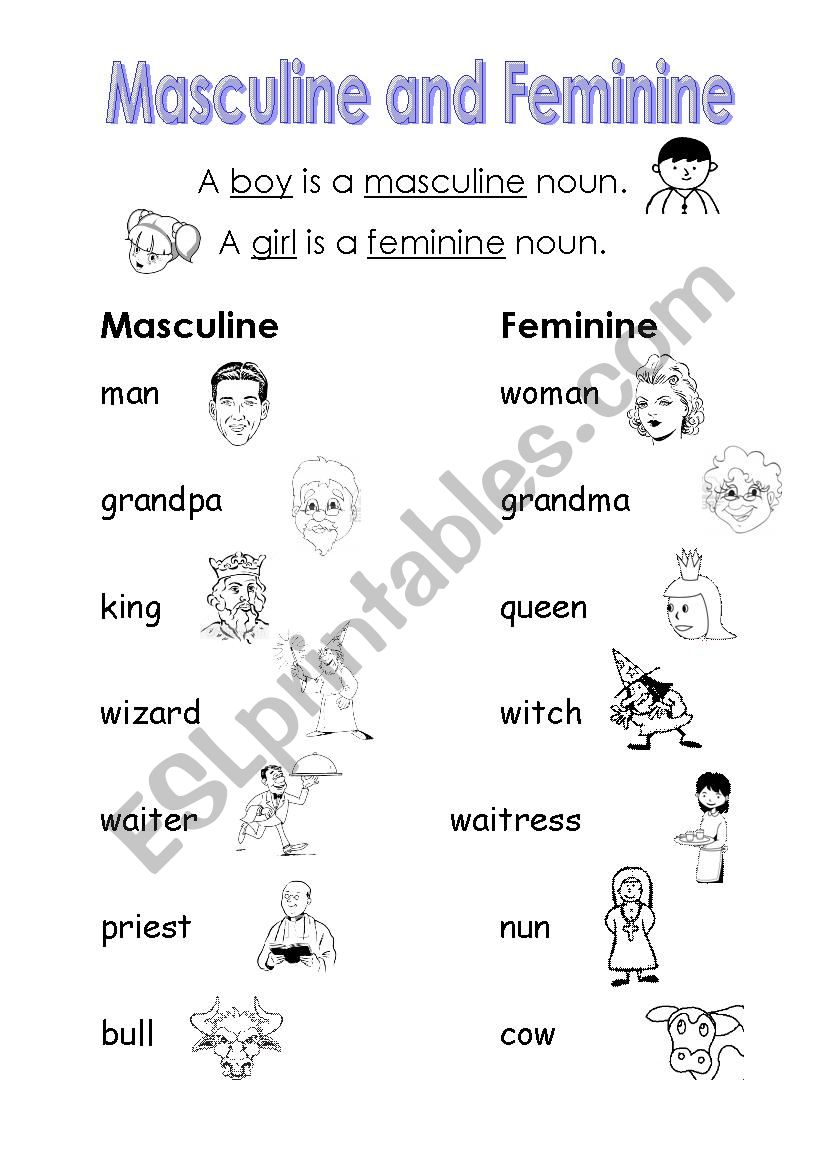 Masculine and Feminine worksheet