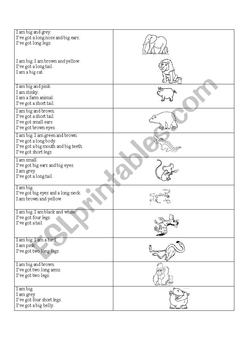 Animals information worksheet